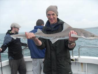 9 lb Starry Smooth-hound by Unknown