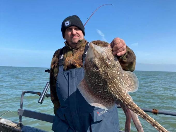 6 lb Thornback Ray by Unknown