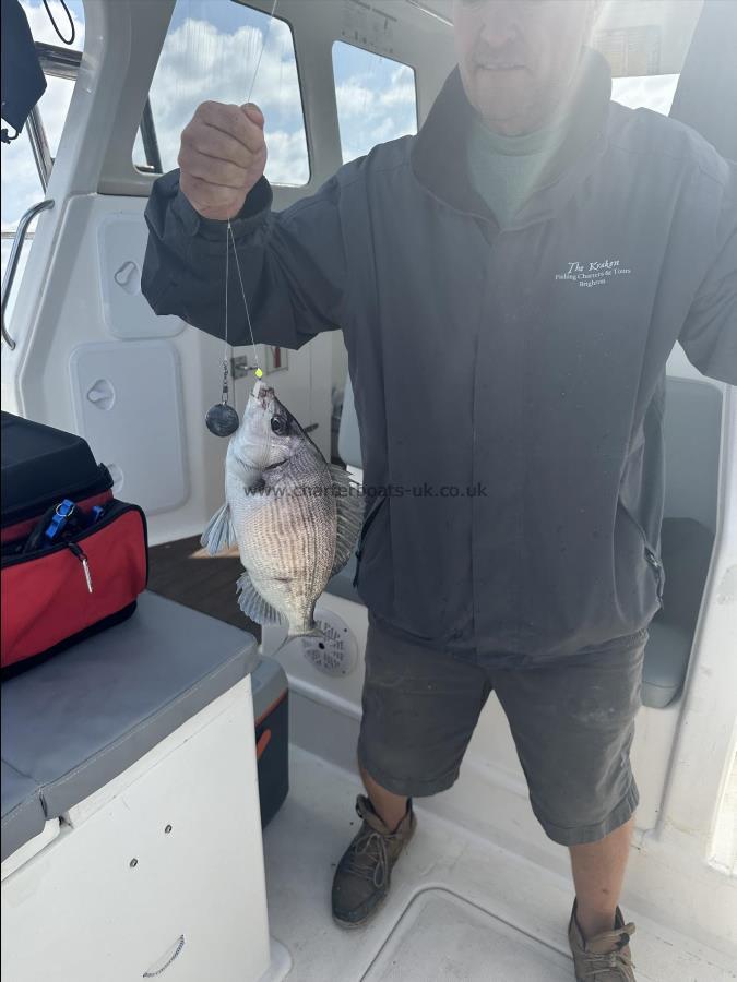 3 lb Black Sea Bream by Unknown