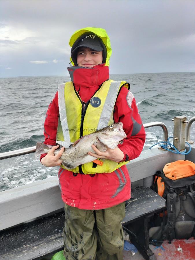 4 lb Cod by Unknown