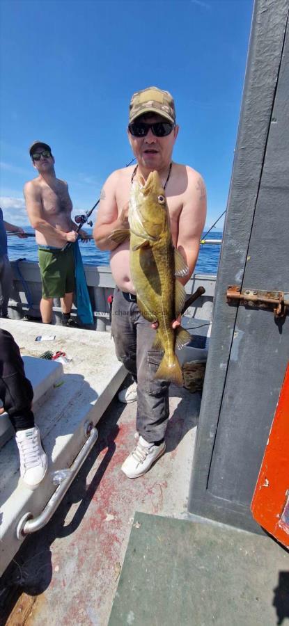 18 lb Cod by Unknown