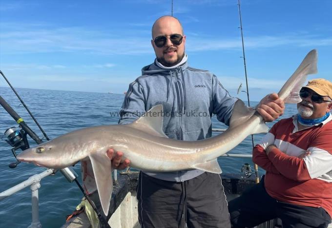 16 lb Smooth-hound (Common) by Unknown