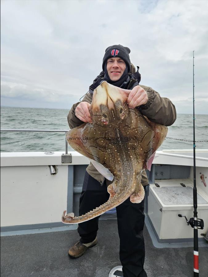 18 lb Undulate Ray by Dave