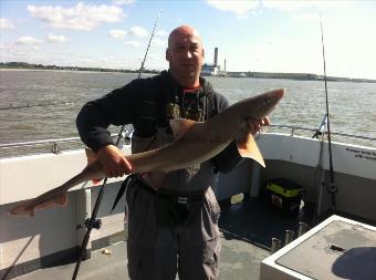 14 lb 11 oz Starry Smooth-hound by nicky