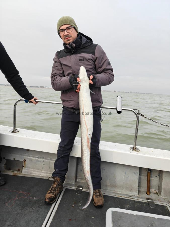 10 lb Conger Eel by Unknown