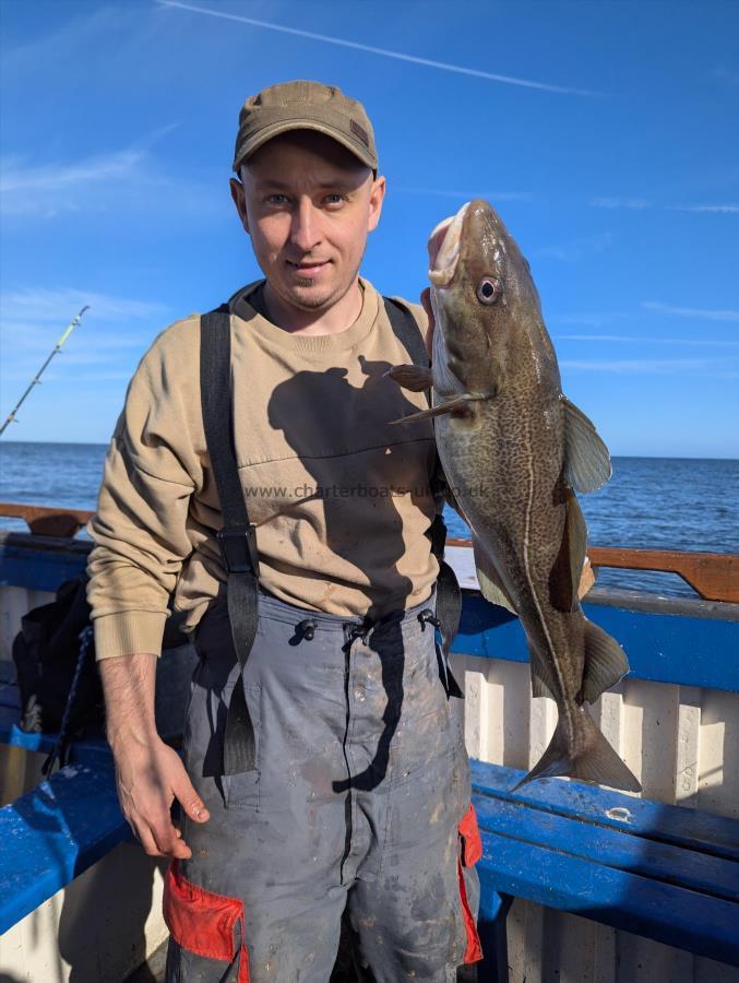 5 lb 2 oz Cod by Unknown