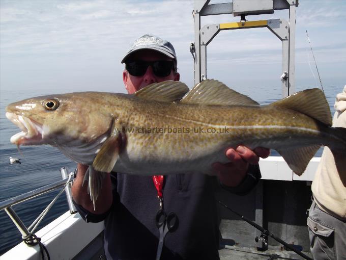 1 lb Cod by Unknown