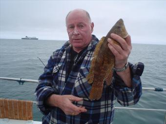 4 lb 3 oz Ballan Wrasse by Fred