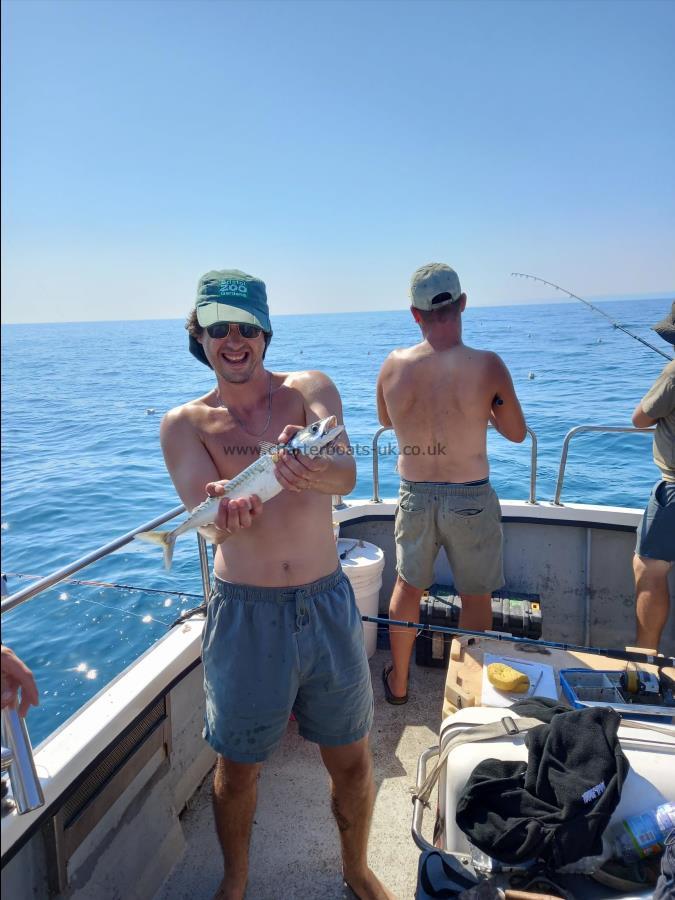 1 lb 8 oz Mackerel by Unknown