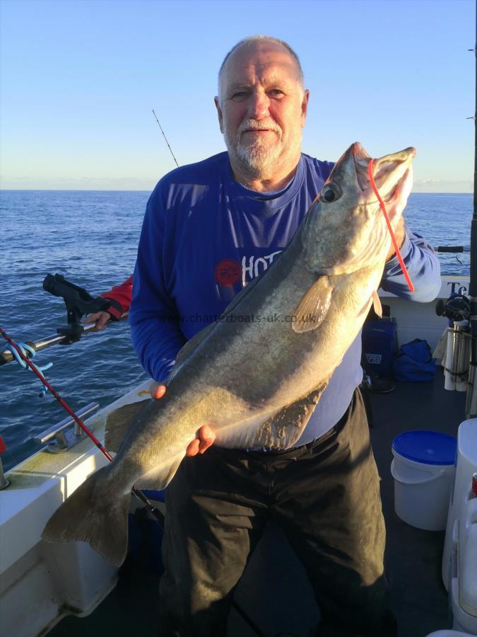 15 lb 8 oz Pollock by Francis