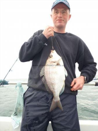 3 lb Black Sea Bream by Charlie Beddard