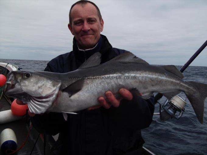 1 lb Coalfish (Coley/Saithe) by Unknown