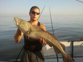 13 lb Cod by Unknown