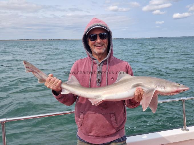 12 lb Smooth-hound (Common) by Wayne from Ashford