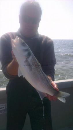 3 lb 2 oz Bass by john from broadstairs