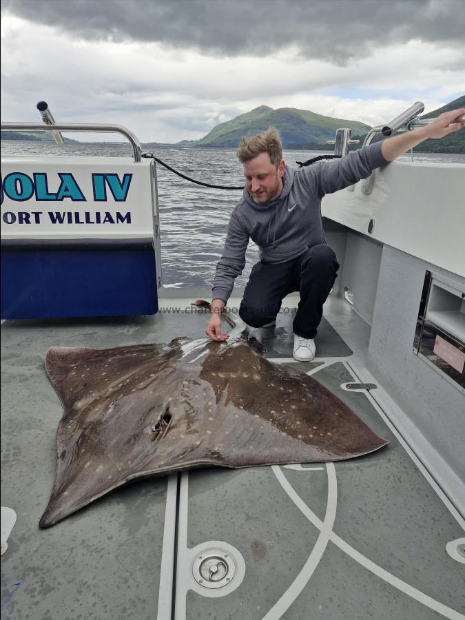 180 lb Common Skate by Klauss