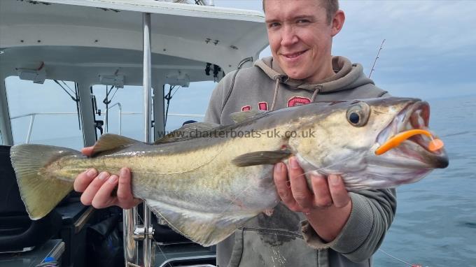 11 lb 10 oz Pollock by Josh