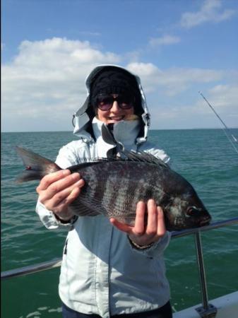 2 lb 6 oz Black Sea Bream by Unknown