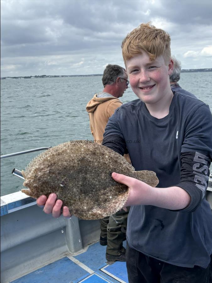 3 lb Turbot by Unknown