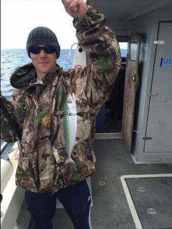 1 lb 4 oz Mackerel by Unknown