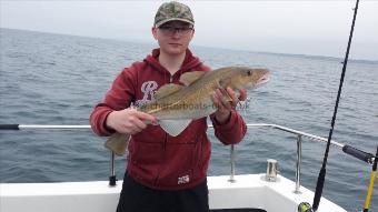 8 lb Cod by George