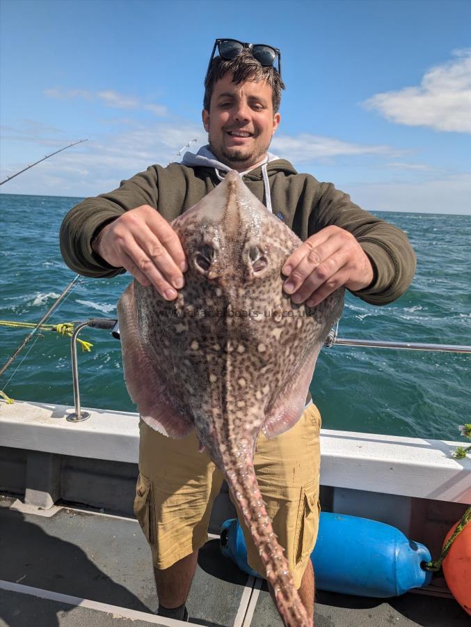 6 lb Thornback Ray by Mark