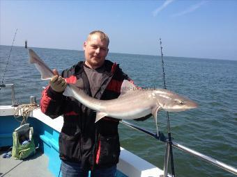 15 lb Starry Smooth-hound by Jason Lowe