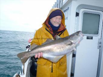 14 lb Pollock by Bob Morrison