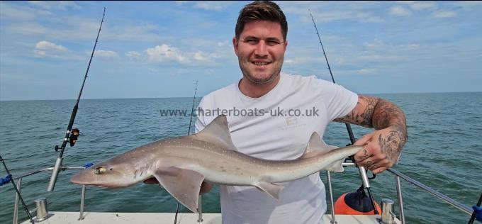 9 lb Starry Smooth-hound by Mark