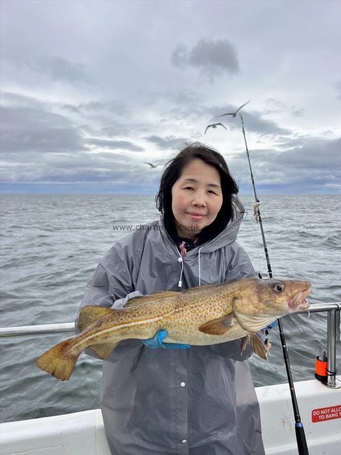 5 lb Cod by So Yee