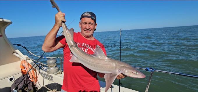 9 lb 13 oz Smooth-hound (Common) by Unknown