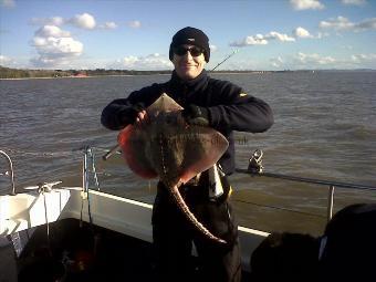 6 lb 6 oz Thornback Ray by eric crowley