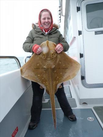 22 lb Blonde Ray by Rae