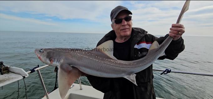 14 lb 6 oz Starry Smooth-hound by Paul