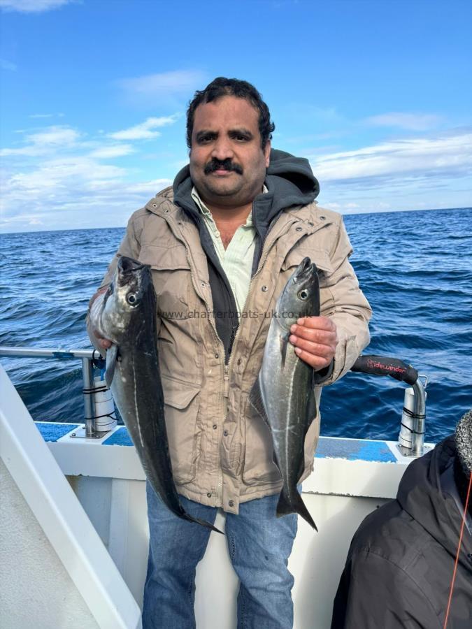 3 lb Coalfish (Coley/Saithe) by Joseph.