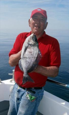 2 lb 8 oz Black Sea Bream by Bill