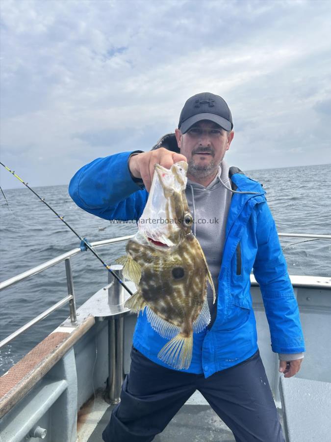 2 lb 2 oz John Dory by Unknown