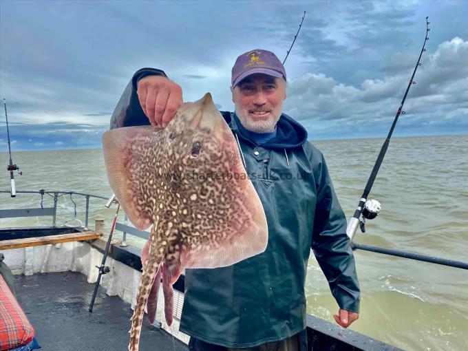 6 lb Thornback Ray by Unknown