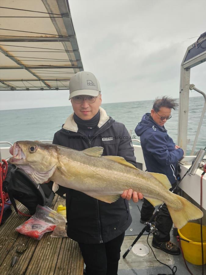 12 lb 7 oz Pollock by Unknown