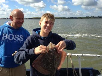 5 lb Thornback Ray by Unknown