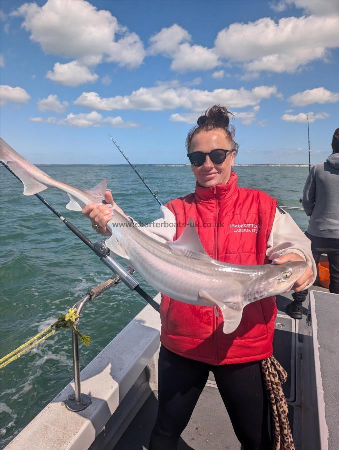 9 lb Starry Smooth-hound by Bethany