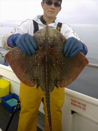 10 lb Thornback Ray by Unknown