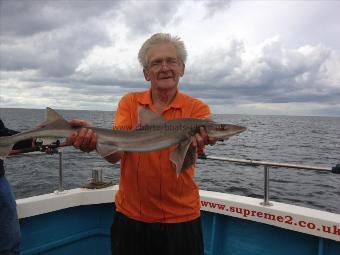 6 lb Smooth-hound (Common) by Derek