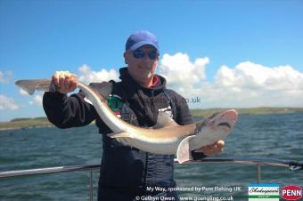12 lb Starry Smooth-hound by Billy