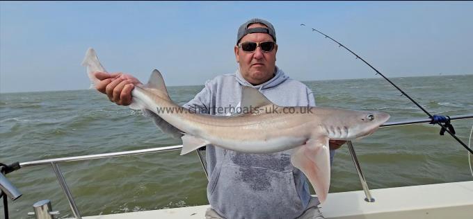 10 lb 2 oz Smooth-hound by Dan