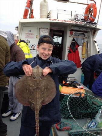 5 lb Thornback Ray by Alfie