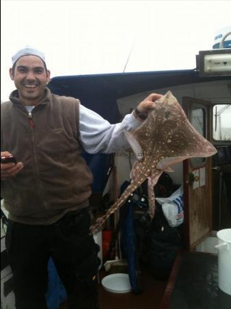 3 lb Thornback Ray by Unknown