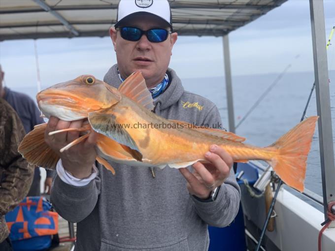 7 lb 3 oz Tub Gurnard by Adam