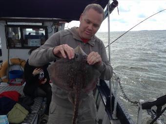 5 lb Thornback Ray by Unknown