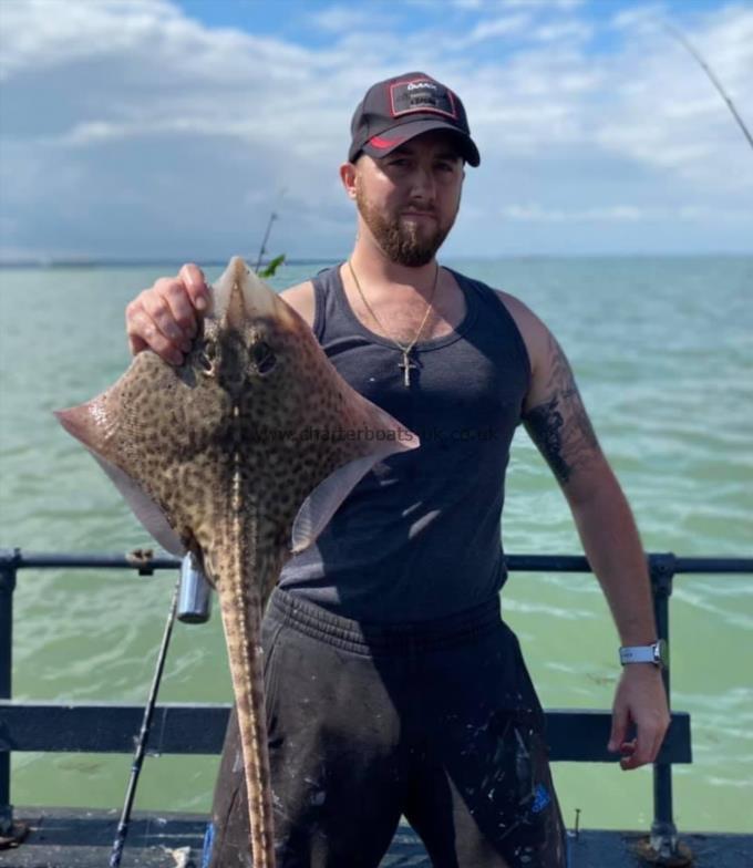 5 lb Thornback Ray by Unknown